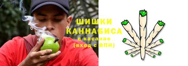 ГАЛЛЮЦИНОГЕННЫЕ ГРИБЫ Алексеевка