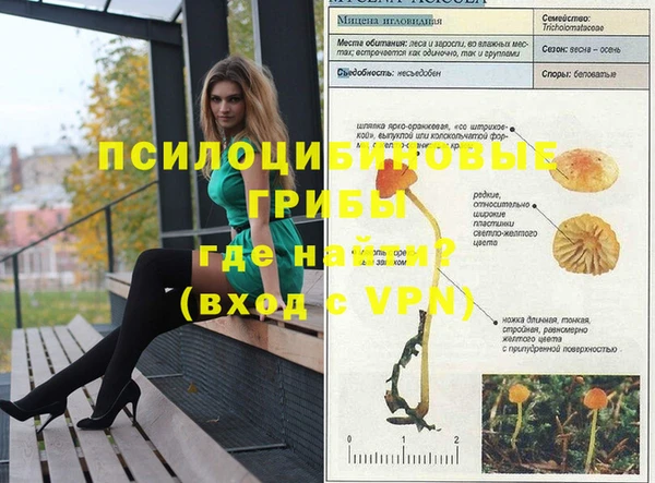 ГАЛЛЮЦИНОГЕННЫЕ ГРИБЫ Алексеевка
