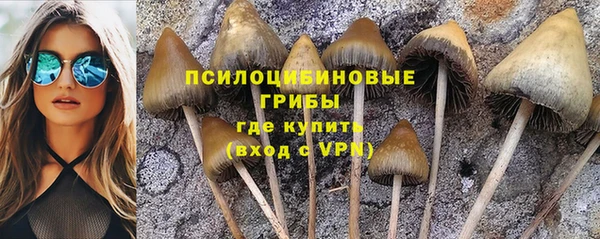 герыч Алзамай
